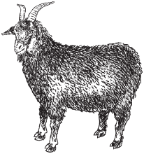 Полный справочник животновода - _43.jpg