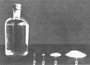 Из жизни пчёл - _47.jpg