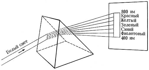 Из жизни пчёл - _50.jpg