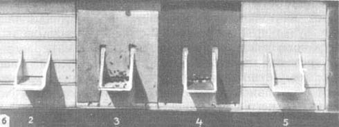 Из жизни пчёл - _75.jpg