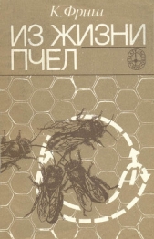  Фриш Карл - Из жизни пчёл