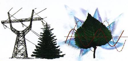 Юный техник, 2009 № 12 - _21.jpg