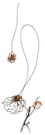 Занимательная зоология - doc2fb_image_02000012.jpg