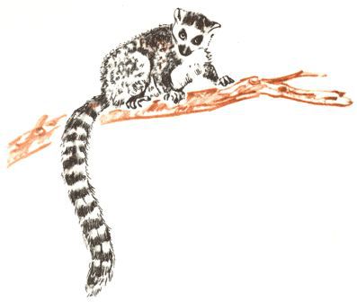 Занимательная зоология - doc2fb_image_02000019.jpg