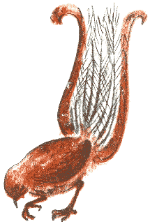 Занимательная зоология - doc2fb_image_0300001D.png