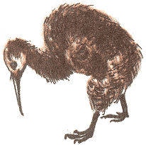 Занимательная зоология - doc2fb_image_0300001E.png