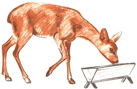 Занимательная зоология - doc2fb_image_03000071.png