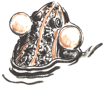 Занимательная зоология - doc2fb_image_03000078.png