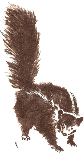 Занимательная зоология - doc2fb_image_0300007C.png