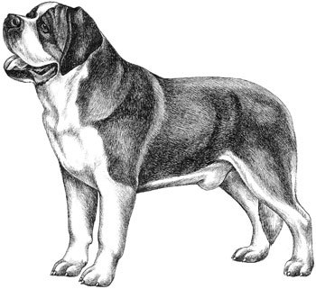 Дрессировка собак. Теория и практика - i_007.jpg