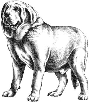 Дрессировка собак. Теория и практика - i_011.jpg