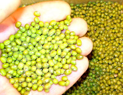 Мои оригинальные рецепты (Часть-1) Супы - _866.jpg