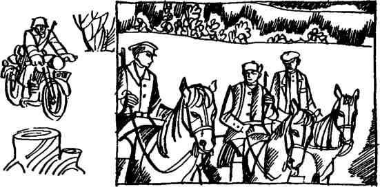 Белые призраки (сборник) - img_25.jpeg