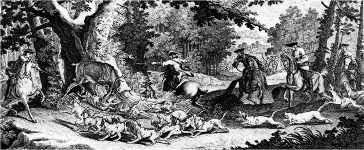 Охотничьи собаки: Полная энциклопедия - i_010.jpg