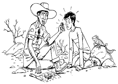 Книга исследователя. Полезные советы юным путешественникам - pic_51.png