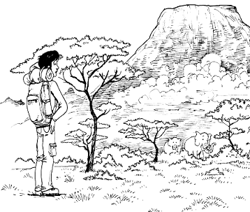 Книга исследователя. Полезные советы юным путешественникам - pic_58.png