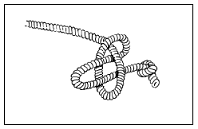 Книга исследователя. Полезные советы юным путешественникам - pic_93.png