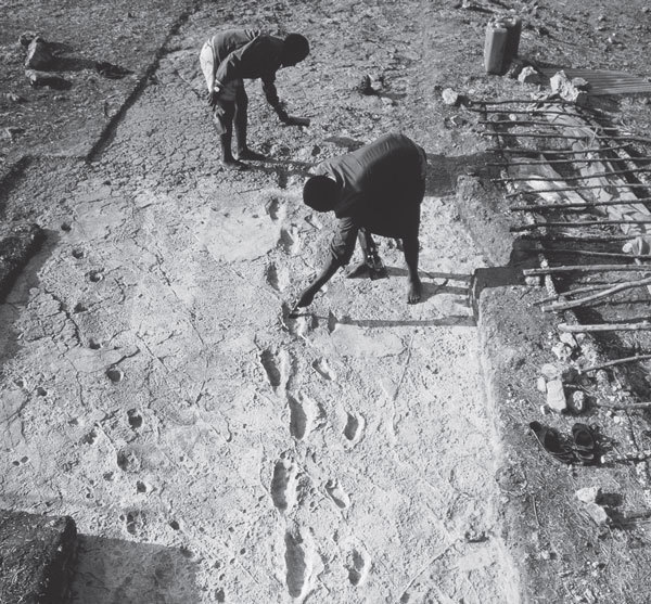 Археология. В начале - i_024.jpg