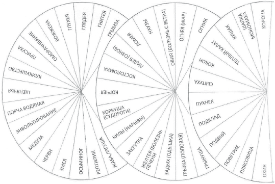 Новые алгоритмы многомерной медицины - _21.jpg