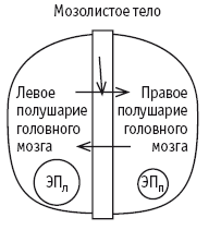 Новые алгоритмы многомерной медицины - _41.jpg