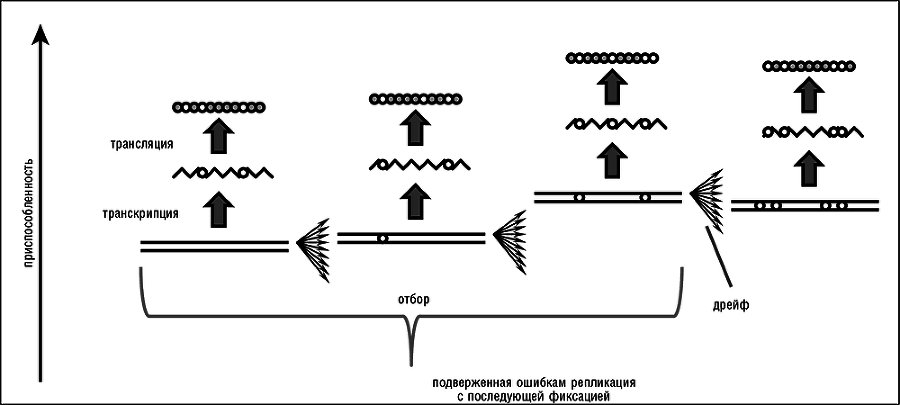 Логика случая. О природе и происхождении биологической эволюции - i_005.png