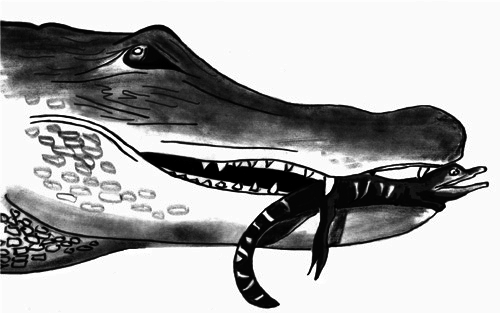 Истоки морали: В поисках человеческого у приматов - i_002.png