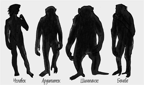 Истоки морали: В поисках человеческого у приматов - i_003.png