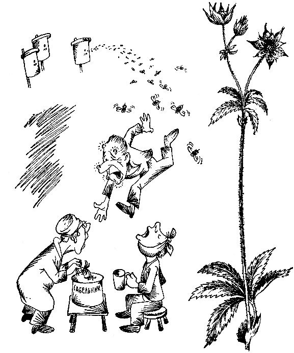 Родники здоровья - _40.jpg