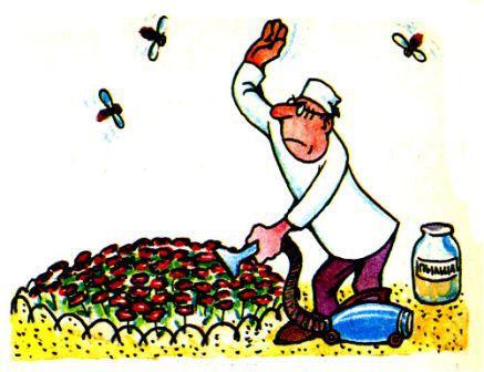 Лесной огород - doc2fb_image_0200001D.jpg