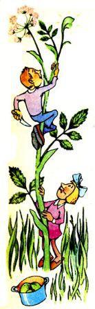 Лесной огород - doc2fb_image_02000022.jpg