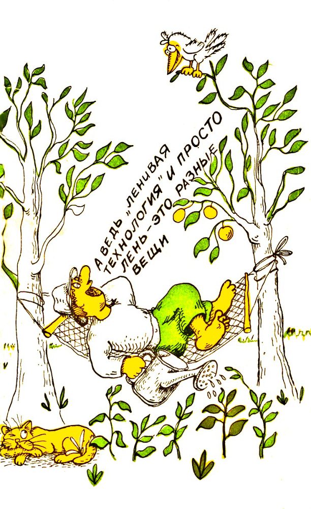 В Сибири - всегда с овощами - back.jpg