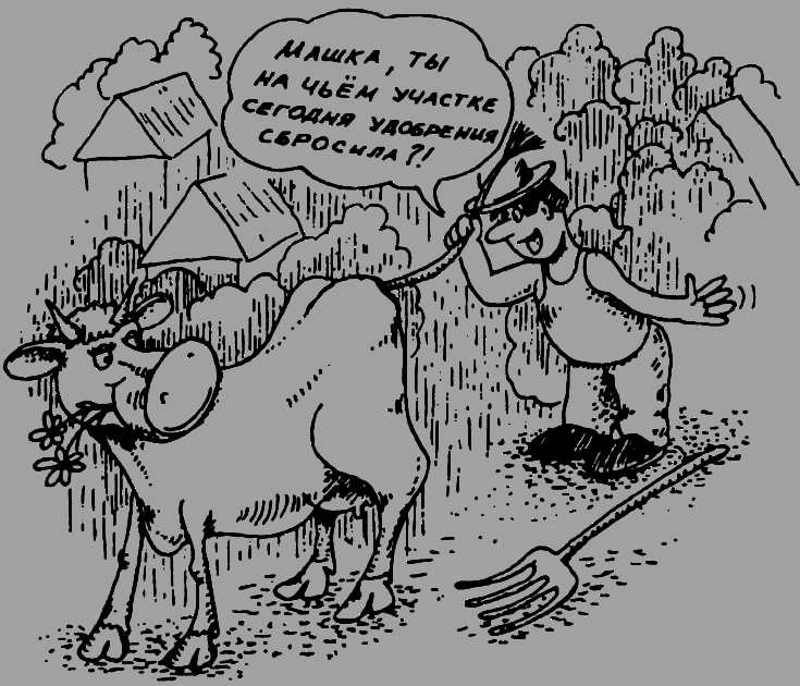 В Сибири - всегда с овощами - image005.png