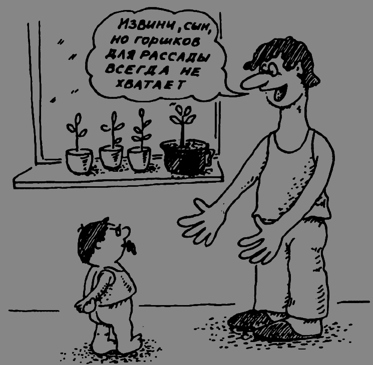 В Сибири - всегда с овощами - image017.png