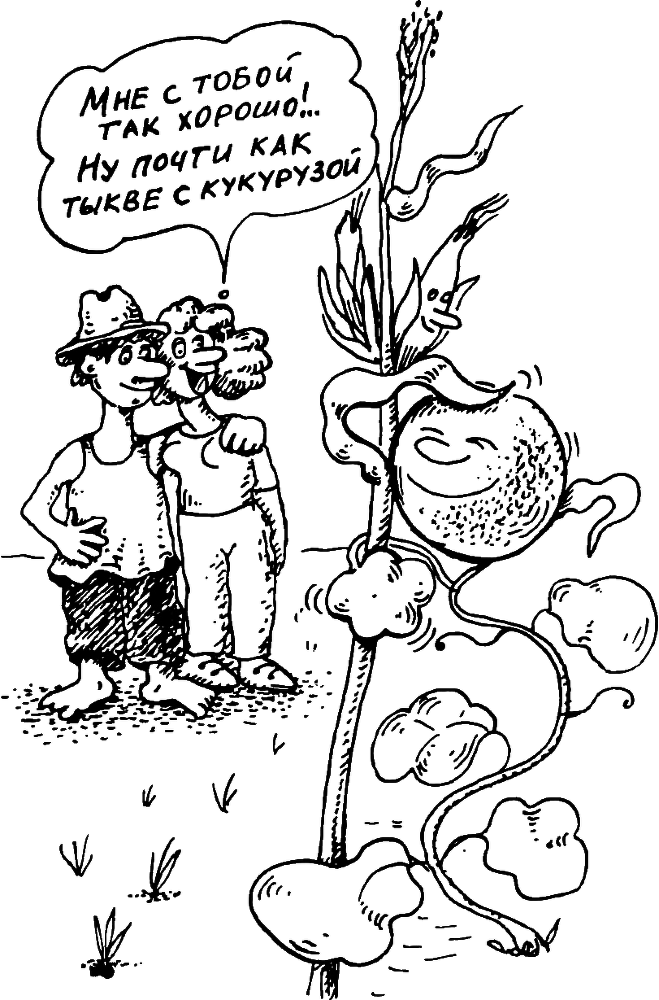 В Сибири - всегда с овощами - image039.png