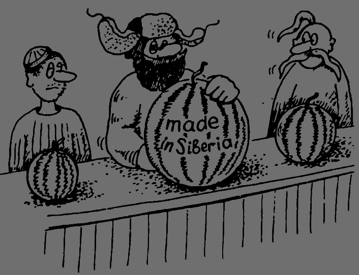 В Сибири - всегда с овощами - image043.png