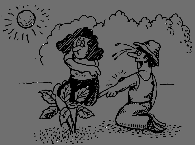 В Сибири - всегда с овощами - image061.png