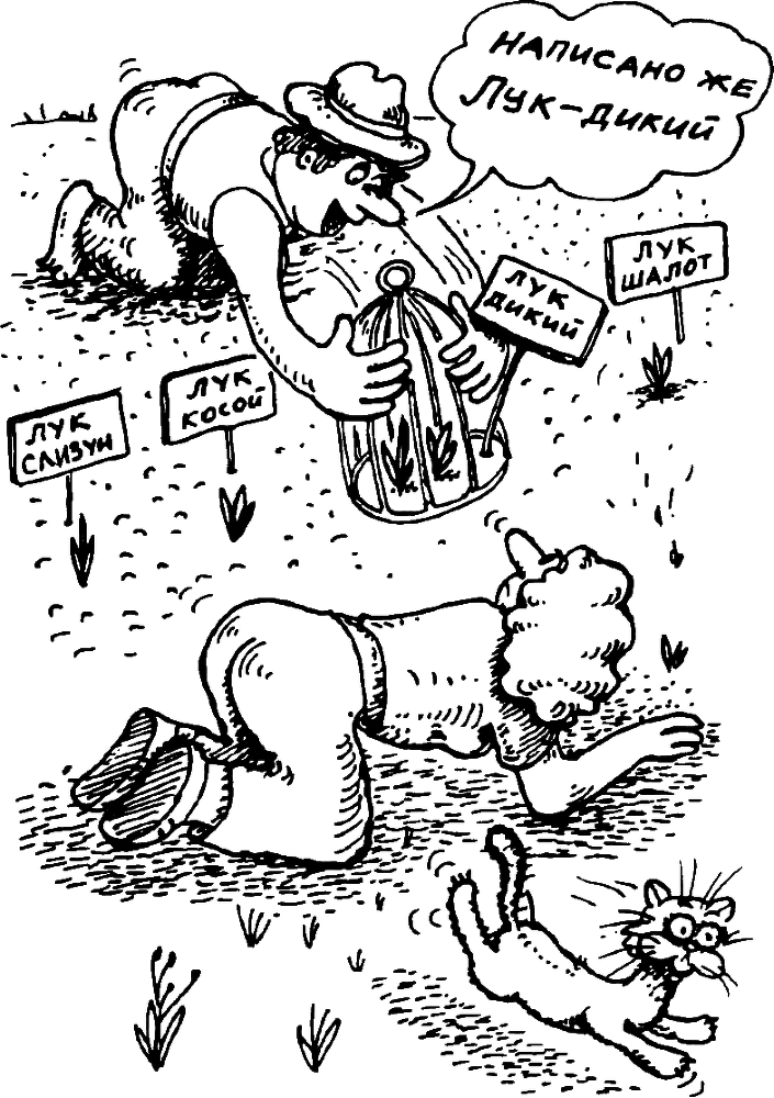 В Сибири - всегда с овощами - image081.png