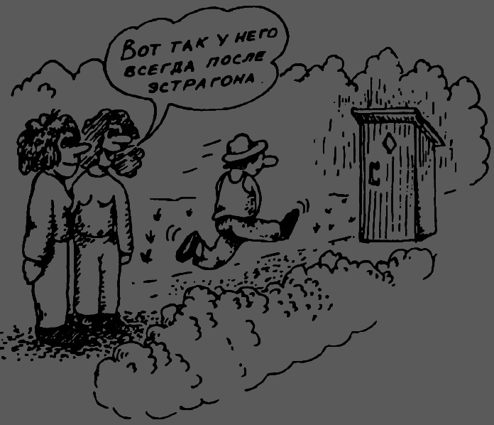 В Сибири - всегда с овощами - image093.png