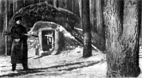 Город, где стреляли дома - img_14.jpeg