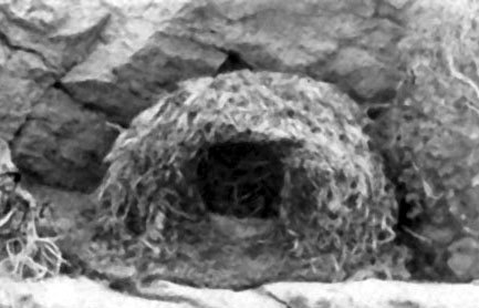 Неведомый Памир - doc2fb_image_02000011.jpg