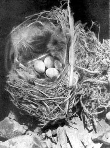 Неведомый Памир - doc2fb_image_0200001C.jpg