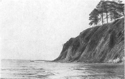 Шишков - i_031.jpg