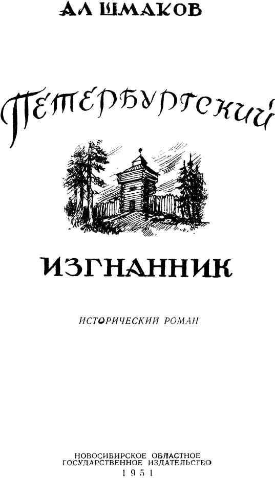 Петербургский изгнанник. Книга первая - img_1.jpeg