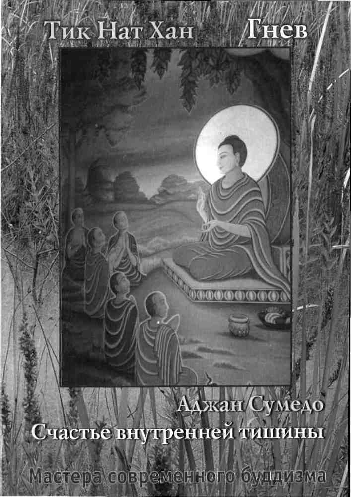 Гнев. Счастье внутренней тишины. - _1.jpg