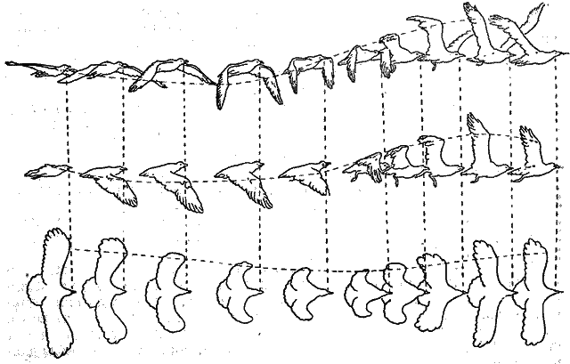 Братья Райт - i_008.png