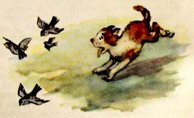 Мишка-хвастун - i_005.jpg