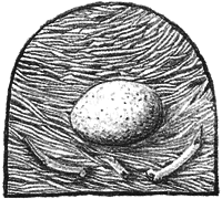 Чисто убийственный бриллиант - i_019.png