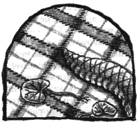 Чисто убийственное зло - i_008.png