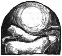 Чисто убийственное зло - i_018.png