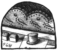 Чисто убийственное зло - i_020.png